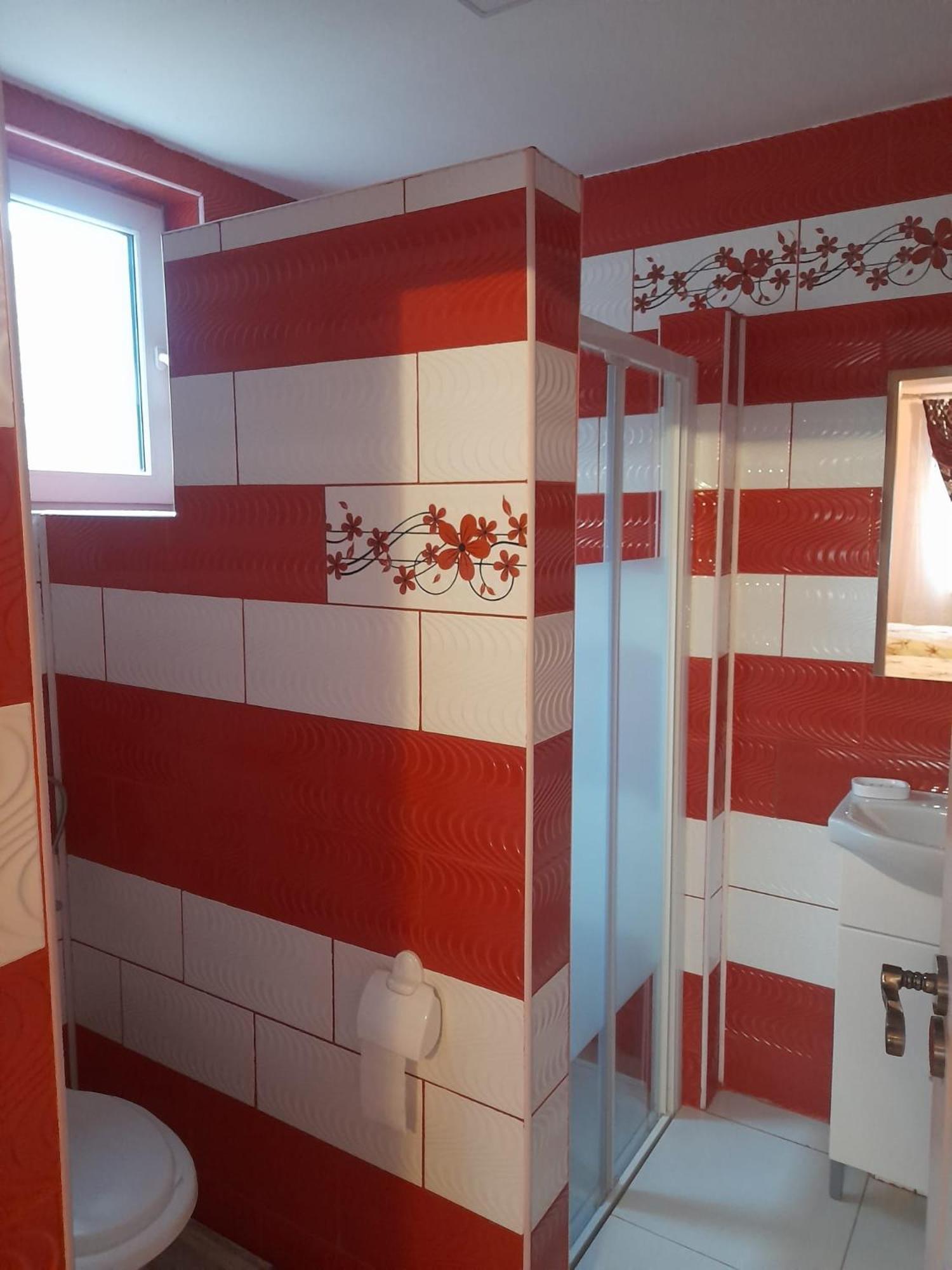 Cazare Slivut Prislop Silvasu de Jos Exterior foto